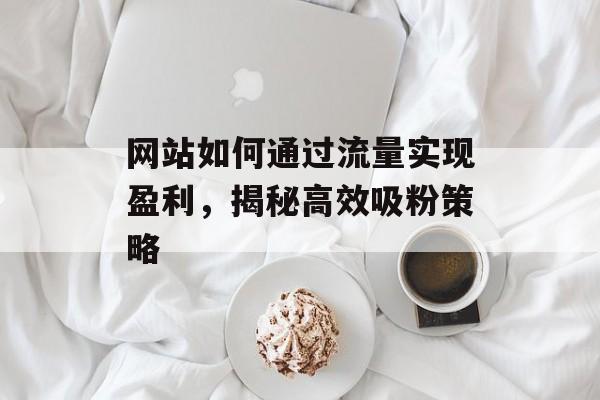 网站如何通过流量实现盈利,揭秘高效吸粉策略 网站如何通过流量实现盈利,揭秘高效吸粉策略