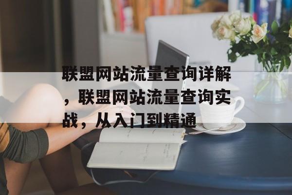 联盟网站流量查询详解,联盟网站流量查询实战,从入门到精通 联盟网站流量查询详解,联盟网站流量查询实战,从入门到精通