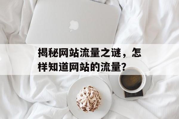 揭秘网站流量之谜,怎样知道网站的流量? 揭秘网站流量之谜,怎样知道网站的流量?