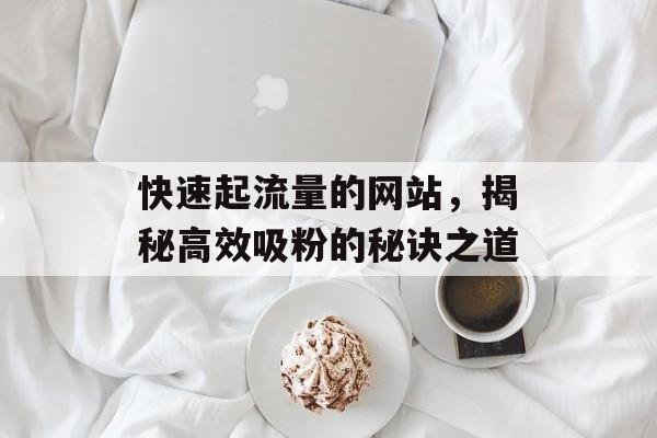 快速起流量的网站,揭秘高效吸粉的秘诀之道 快速起流量的网站,揭秘高效吸粉的秘诀之道