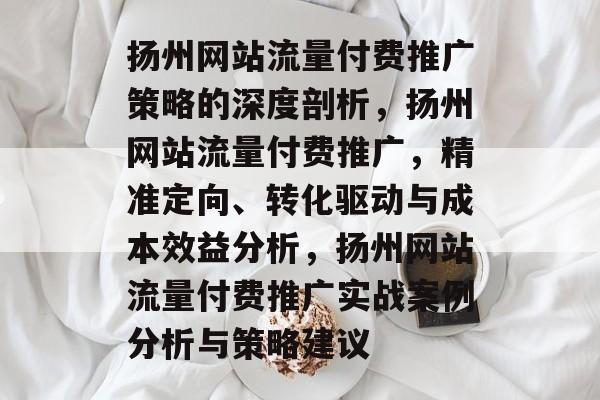 扬州网站流量付费推广策略的深度剖析,扬州网站流量付费推广,精准定向、转化驱动与成本效益分析,扬州网站流量付费推广实战案例分析与策略建议 扬州网站流量付费推广策略的深度剖析,扬州网站流量付费推广,精准定向、转化驱动与成本效益分析,扬州网站流量付费推广实战案例分析与策略建议