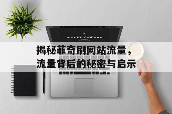 揭秘菲奇刷网站流量,流量背后的秘密与启示 揭秘菲奇刷网站流量,流量背后的秘密与启示