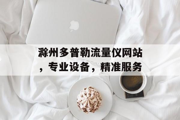 滁州多普勒流量仪网站,专业设备,精准服务 滁州多普勒流量仪网站,专业设备,精准服务