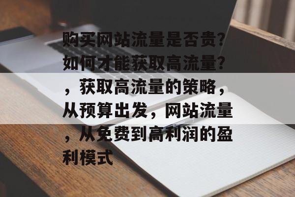 购买网站流量是否贵?如何才能获取高流量?,获取高流量的策略,从预算出发,网站流量,从免费到高利润的盈利模式 购买网站流量是否贵?如何才能获取高流量?,获取高流量的策略,从预算出发,网站流量,从免费到高利润的盈利模式