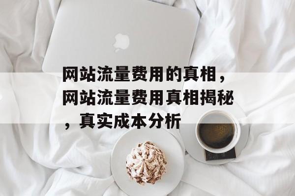 网站流量费用的真相,网站流量费用真相揭秘,真实成本分析 网站流量费用的真相,网站流量费用真相揭秘,真实成本分析