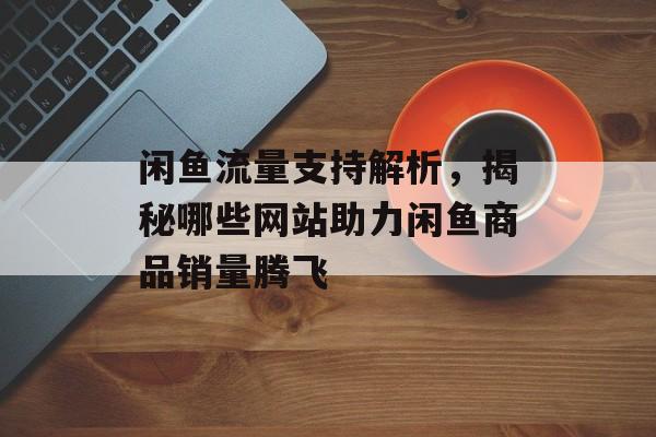 闲鱼流量支持解析，揭秘哪些网站助力闲鱼商品销量腾飞