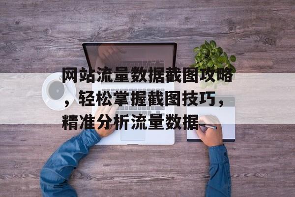 网站流量数据截图攻略,轻松掌握截图技巧,精准分析流量数据 网站流量数据截图攻略,轻松掌握截图技巧,精准分析流量数据