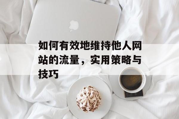 如何有效地维持他人网站的流量,实用策略与技巧 如何有效地维持他人网站的流量,实用策略与技巧