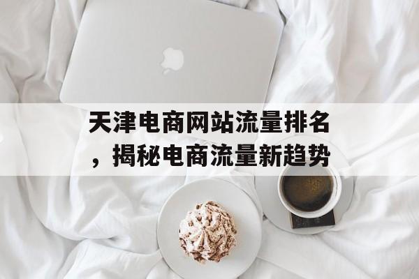 天津电商网站流量排名,揭秘电商流量新趋势 天津电商网站流量排名,揭秘电商流量新趋势
