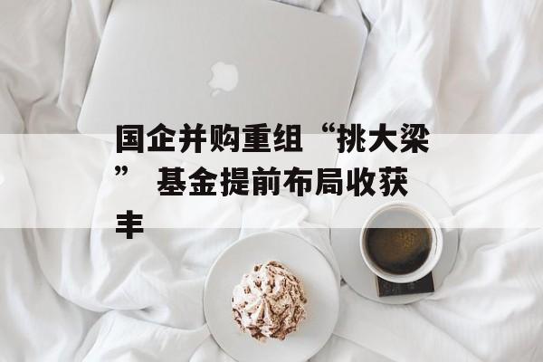 国企并购重组“挑大梁” 基金提前布局收获丰 国企并购重组“挑大梁” 基金提前布局收获丰