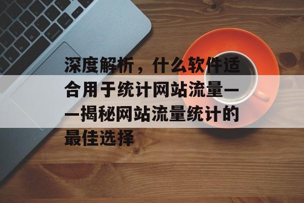 深度解析,什么软件适合用于统计网站流量——揭秘网站流量统计的最佳选择 深度解析,什么软件适合用于统计网站流量——揭秘网站流量统计的最佳选择