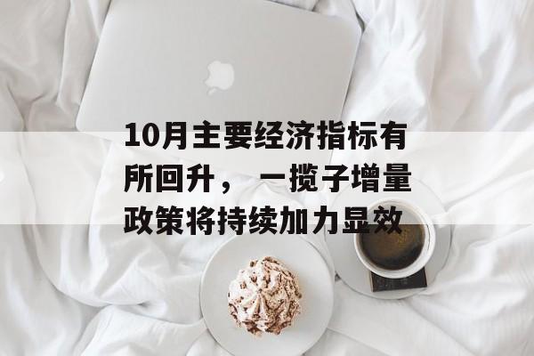 10月主要经济指标有所回升, 一揽子增量政策将持续加力显效 10月主要经济指标有所回升, 一揽子增量政策将持续加力显效