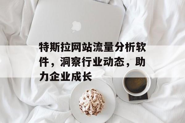 特斯拉网站流量分析软件,洞察行业动态,助力企业成长 特斯拉网站流量分析软件,洞察行业动态,助力企业成长