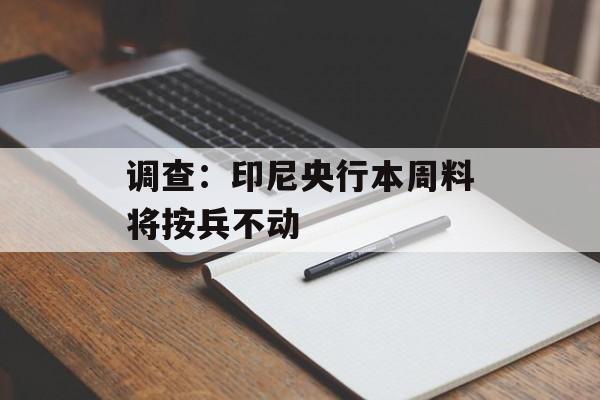 调查:印尼央行本周料将按兵不动 调查:印尼央行本周料将按兵不动