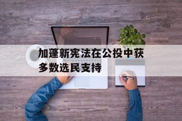 加蓬新宪法在公投中获多数选民支持