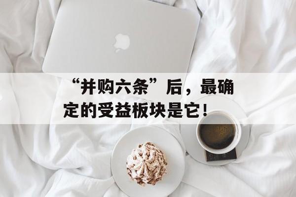 “并购六条”后,最确定的受益板块是它! “并购六条”后,最确定的受益板块是它!