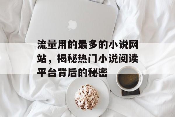 流量用的最多的小说网站,揭秘热门小说阅读平台背后的秘密 流量用的最多的小说网站,揭秘热门小说阅读平台背后的秘密