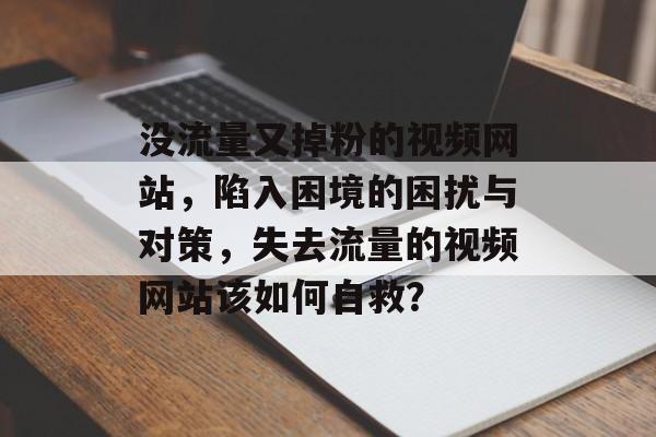 没流量又掉粉的视频网站，陷入困境的困扰与对策，失去流量的视频网站该如何自救？