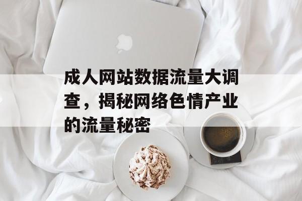 成人网站数据流量大调查,揭秘网络色情产业的流量秘密 成人网站数据流量大调查,揭秘网络色情产业的流量秘密