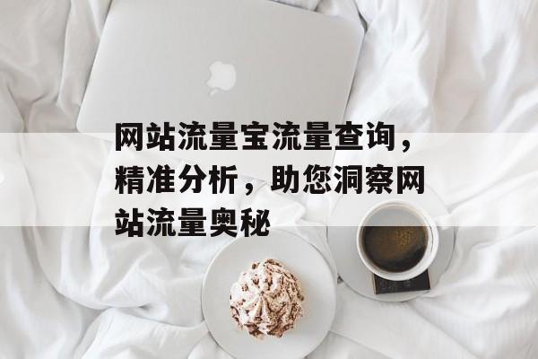 网站流量宝流量查询,精准分析,助您洞察网站流量奥秘 网站流量宝流量查询,精准分析,助您洞察网站流量奥秘