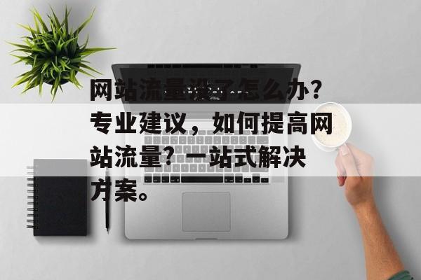 网站流量没了怎么办?专业建议,如何提高网站流量? 一站式解决方案。 网站流量没了怎么办?专业建议,如何提高网站流量? 一站式解决方案。