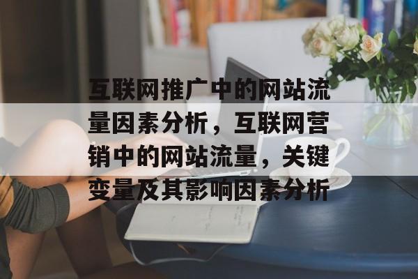 互联网推广中的网站流量因素分析,互联网营销中的网站流量,关键变量及其影响因素分析 互联网推广中的网站流量因素分析,互联网营销中的网站流量,关键变量及其影响因素分析
