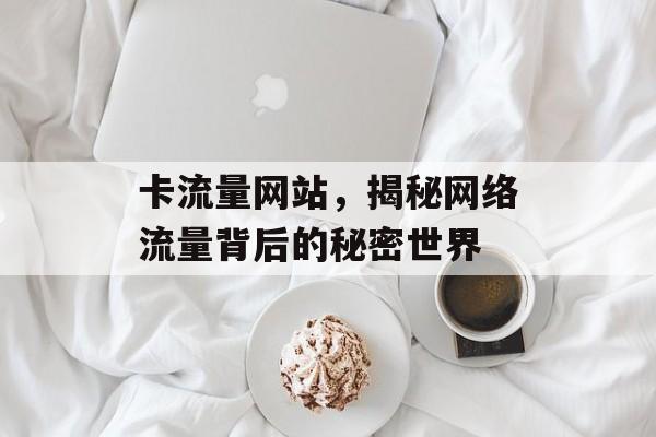 卡流量网站，揭秘网络流量背后的秘密世界