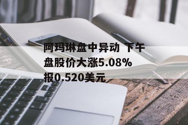 阿玛琳盘中异动 下午盘股价大涨5.08%报0.520美元