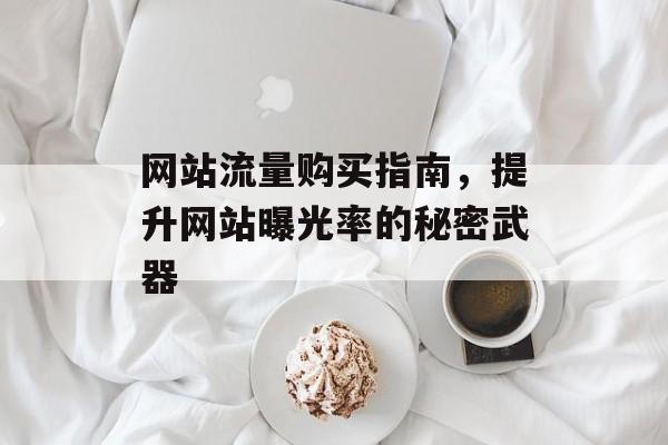 网站流量购买指南,提升网站曝光率的秘密武器 网站流量购买指南,提升网站曝光率的秘密武器