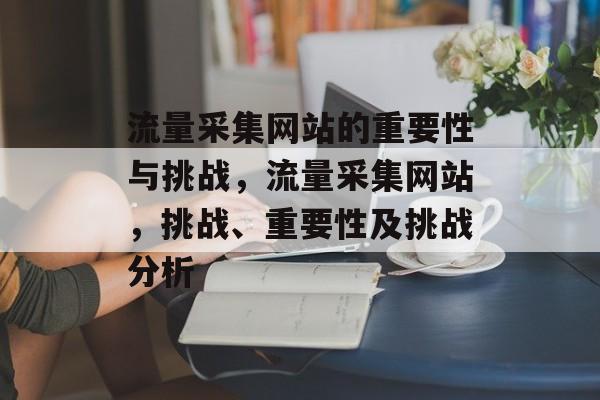 流量采集网站的重要性与挑战,流量采集网站,挑战、重要性及挑战分析 流量采集网站的重要性与挑战,流量采集网站,挑战、重要性及挑战分析