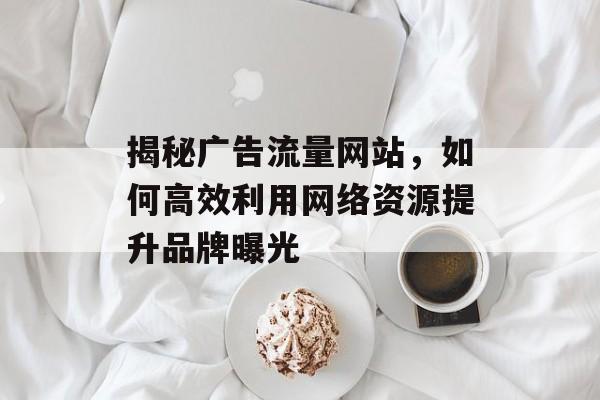 揭秘广告流量网站,如何高效利用网络资源提升品牌曝光 揭秘广告流量网站,如何高效利用网络资源提升品牌曝光
