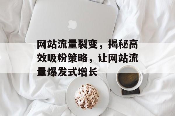 网站流量裂变,揭秘高效吸粉策略,让网站流量爆发式增长 网站流量裂变,揭秘高效吸粉策略,让网站流量爆发式增长