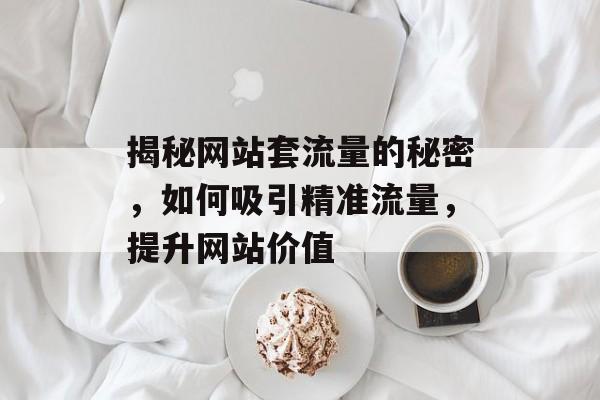 揭秘网站套流量的秘密,如何吸引精准流量,提升网站价值 揭秘网站套流量的秘密,如何吸引精准流量,提升网站价值