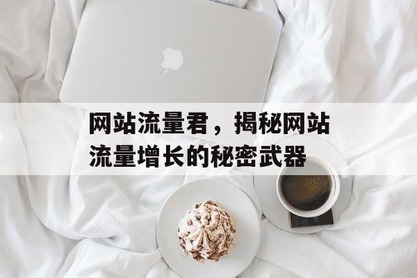 网站流量君,揭秘网站流量增长的秘密武器 网站流量君,揭秘网站流量增长的秘密武器