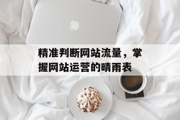 精准判断网站流量,掌握网站运营的晴雨表 精准判断网站流量,掌握网站运营的晴雨表