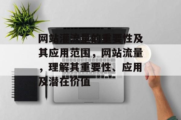网站灌流量的重要性及其应用范围,网站流量,理解其重要性、应用及潜在价值 网站灌流量的重要性及其应用范围,网站流量,理解其重要性、应用及潜在价值