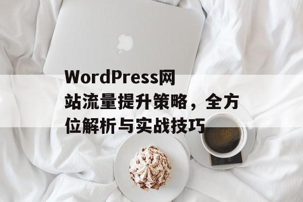 WordPress网站流量提升策略,全方位解析与实战技巧 WordPress网站流量提升策略,全方位解析与实战技巧