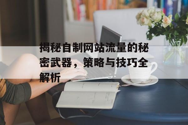 揭秘自制网站流量的秘密武器,策略与技巧全解析 揭秘自制网站流量的秘密武器,策略与技巧全解析