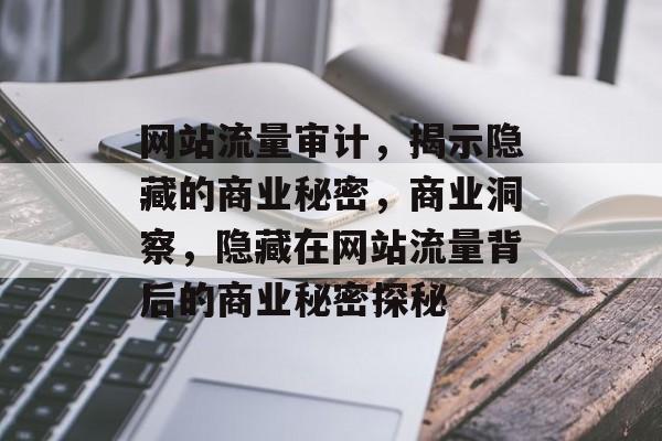 网站流量审计,揭示隐藏的商业秘密,商业洞察,隐藏在网站流量背后的商业秘密探秘 网站流量审计,揭示隐藏的商业秘密,商业洞察,隐藏在网站流量背后的商业秘密探秘
