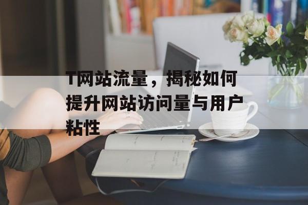 T网站流量,揭秘如何提升网站访问量与用户粘性 T网站流量,揭秘如何提升网站访问量与用户粘性
