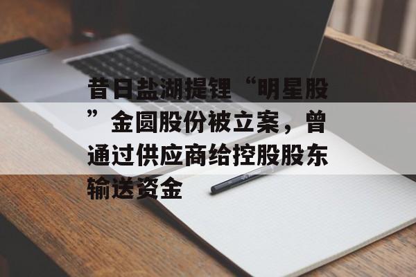 昔日盐湖提锂“明星股”金圆股份被立案,曾通过供应商给控股股东输送资金 昔日盐湖提锂“明星股”金圆股份被立案,曾通过供应商给控股股东输送资金