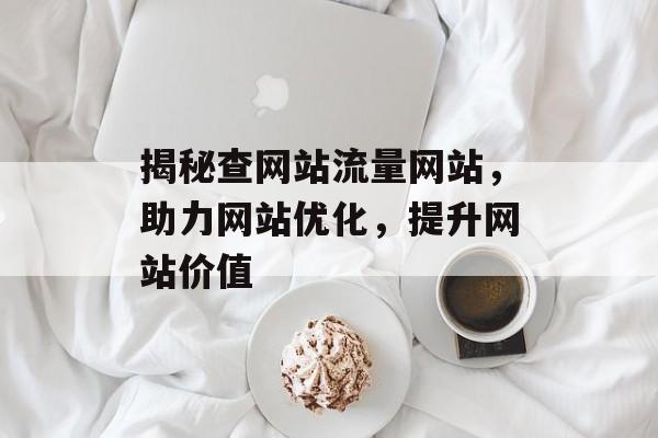 揭秘查网站流量网站,助力网站优化,提升网站价值 揭秘查网站流量网站,助力网站优化,提升网站价值