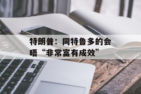 特朗普:同特鲁多的会晤“非常富有成效” 特朗普:同特鲁多的会晤“非常富有成效”