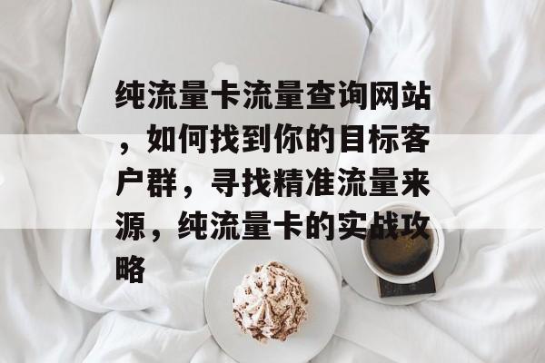 纯流量卡流量查询网站,如何找到你的目标客户群,寻找精准流量来源,纯流量卡的实战攻略 纯流量卡流量查询网站,如何找到你的目标客户群,寻找精准流量来源,纯流量卡的实战攻略