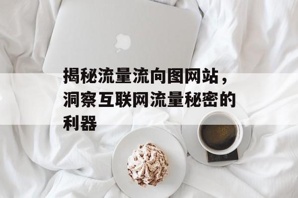揭秘流量流向图网站,洞察互联网流量秘密的利器 揭秘流量流向图网站,洞察互联网流量秘密的利器