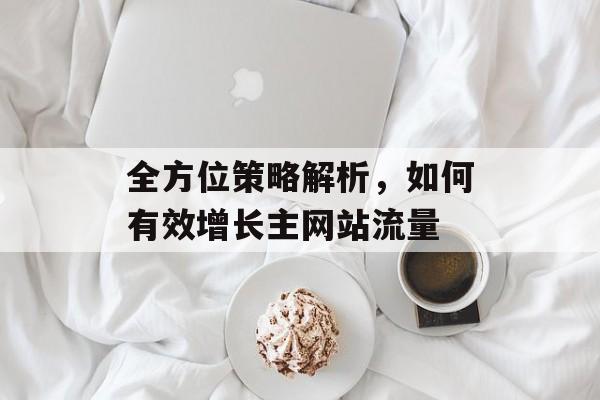 全方位策略解析,如何有效增长主网站流量 全方位策略解析,如何有效增长主网站流量