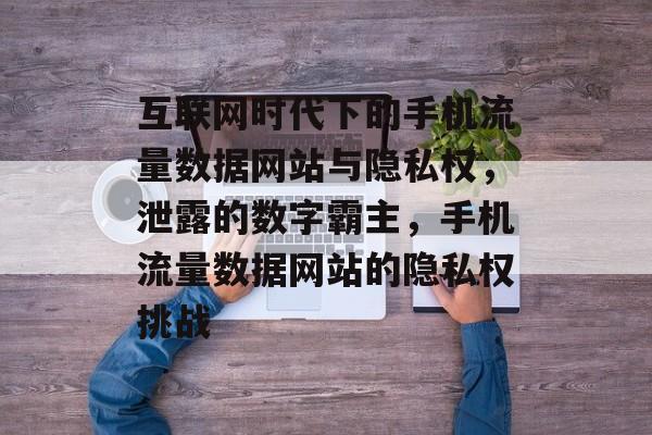 互联网时代下的手机流量数据网站与隐私权,泄露的数字霸主,手机流量数据网站的隐私权挑战 互联网时代下的手机流量数据网站与隐私权,泄露的数字霸主,手机流量数据网站的隐私权挑战