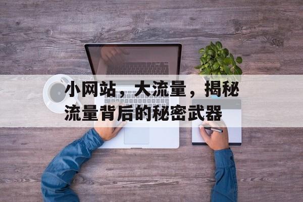 小网站,大流量,揭秘流量背后的秘密武器 小网站,大流量,揭秘流量背后的秘密武器