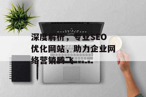 深度解析,专业SEO优化网站,助力企业网络营销腾飞 深度解析,专业SEO优化网站,助力企业网络营销腾飞