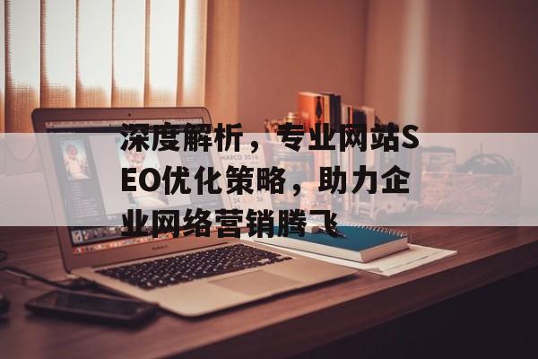 深度解析,专业网站SEO优化策略,助力企业网络营销腾飞 深度解析,专业网站SEO优化策略,助力企业网络营销腾飞